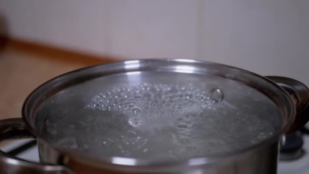 Kokande vatten i en rostfri gryta på en gasolspis. Hemkök. Långsamma rörelser — Stockvideo