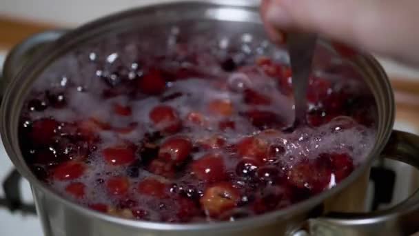 烹调调料，从冰冻樱桃和黑莓在家庭厨房里的冲刺 — 图库视频影像