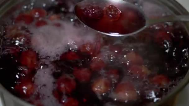 Kompot gotowania, Poncz z mrożonych wiśni, Jeżyny w kuchni domowej — Wideo stockowe