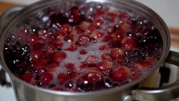 Composta vitaminica di cottura da ciliegie congelate, more in cucina domestica. — Video Stock