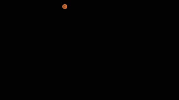 Full Bloody Moon stiger i den mörka himlen på natten. Fullmåne. Zoom — Stockvideo