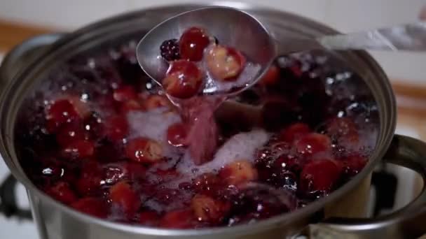 Compote de cuisine, Poinçon aux cerises congelées, Mûres dans la cuisine maison — Video