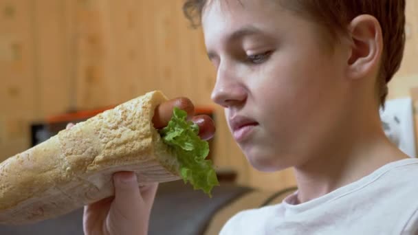子供は2つのソーセージと不健康なアメリカのホットドッグを食べることを拒否します。4K — ストック動画
