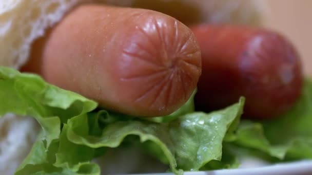 Hot Dog américain délicieux, frais et juteux avec deux saucisses, feuilles de laitue. Zoom — Video