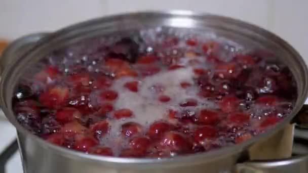 Cocina Vitamina Compota de Cerezas Congeladas, Moras en la Cocina Casera. 4K — Vídeo de stock