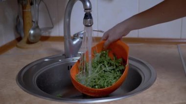 Dişi Eller Arugula 'yı Yıkar Bir Colander' da, Lavabo 'da Akan Su Altında