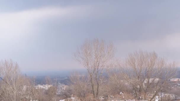 Вид на Старый город, деревья при облачной погоде с грозами — стоковое видео
