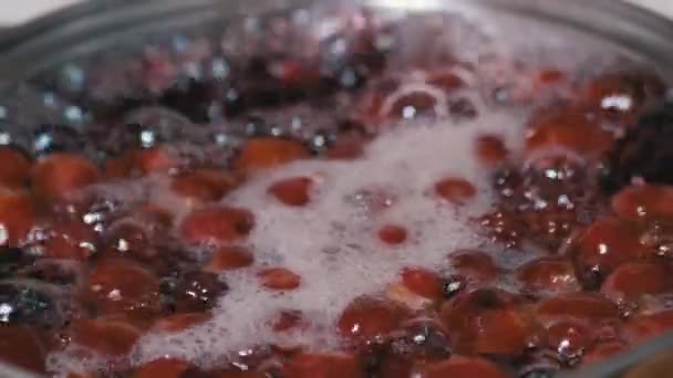 Cooking Vitamin Compote from Frozen Cherries, Blackberries in Home Kitchen Зум — стокове відео