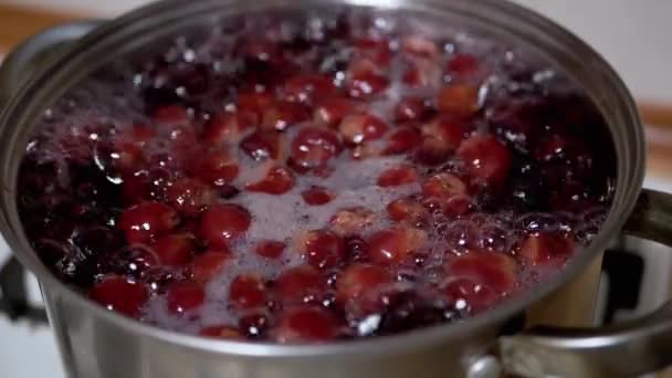 Cocina Compota de Vitamina de Cerezas Congeladas, Blackberries in Home Kitchen. — Vídeo de stock