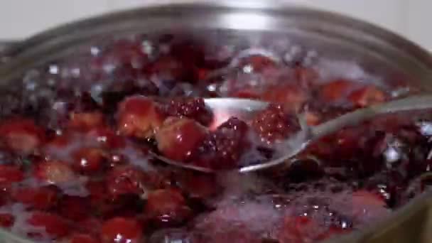 Composta da cucina, punzone da ciliegie congelate, more in cucina domestica. Zoom — Video Stock