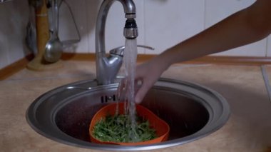 Dişi Eller Arugula 'yı Yıkar Bir Colander' da, Lavabo 'da Akan Su Altında