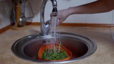 Dişi Eller Arugula 'yı Yıkar Bir Colander' da, Lavabo 'da Akan Su Altında