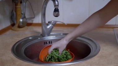 Dişi Eller, Arugula Yaprakları 'nı Lavabo' da bir soğutucuda yıkadı. Yavaş çekim