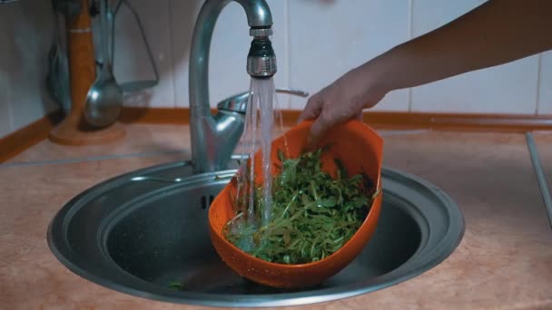 Lave-mains femelles Feuilles de roquette dans une passoire, sous l'eau courante dans l'évier — Video