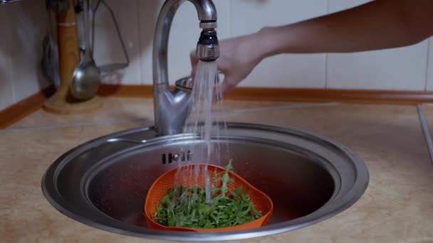 Lave-mains femelles Feuilles de roquette dans une passoire, sous l'eau courante dans l'évier — Video