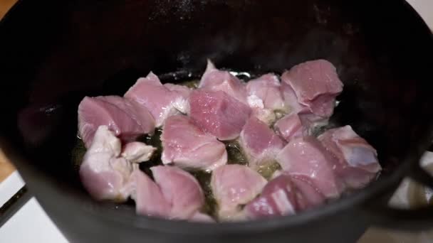 Ζουμερά, φρέσκα κομμάτια χοιρινού τηγανίζονται σε ένα χυτό-σιδερένιο καζάνι με φυτικό έλαιο — Αρχείο Βίντεο