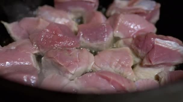 Сочные, свежие куски свинины жарятся в чугунном котле с растительным маслом — стоковое видео