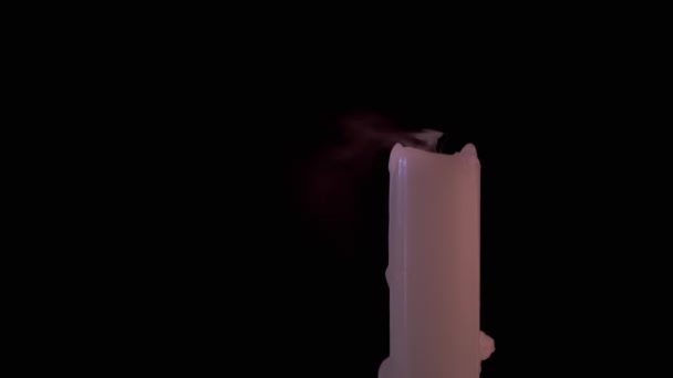 Burning 100 Dollar Bill Candle Flame Black Background Female Hand — Stock Video