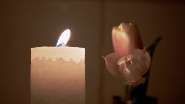Vela branca queima com uma calma, mesmo, fogo, contra fundo de duas tulipas — Vídeo de Stock