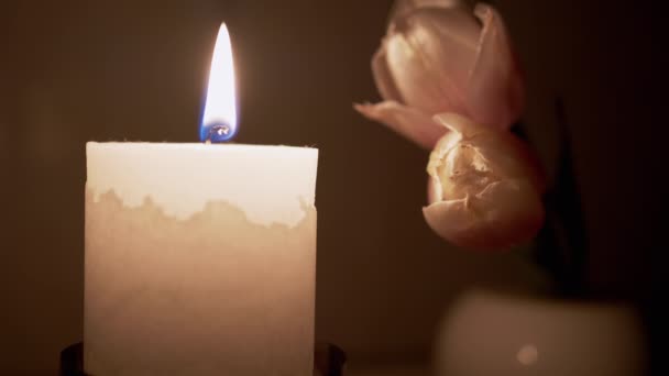 Paraffinekaars brandt met een witte, bewegende vlam op een tafel met twee tulpen. 4K — Stockvideo