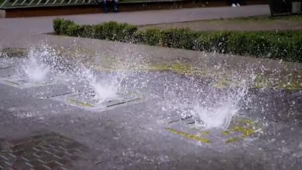 Městská fontána v parku. Proudy vody stoupají a klesají. — Stock video