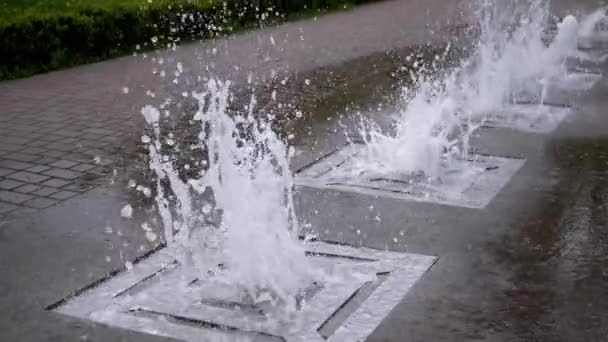 Stadtbrunnen im Park. Die Wasserströme steigen und fallen. — Stockvideo