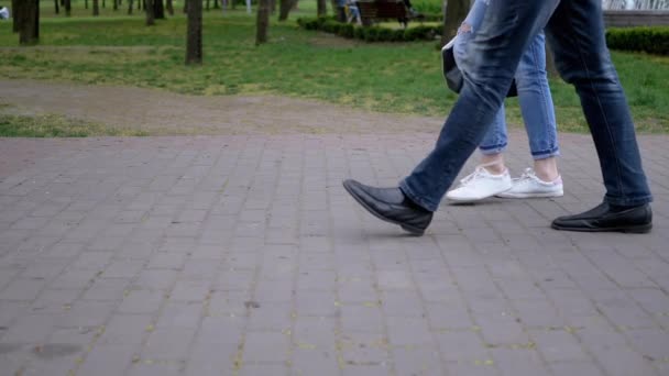 Feet of People, Passers-by Walk on Paving Slabs in Park. Mouvement lent — Video