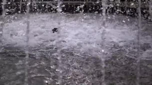 Wasserstrahlen aus dem Stadtbrunnen im Park. Zeitlupe. Nahaufnahme — Stockvideo