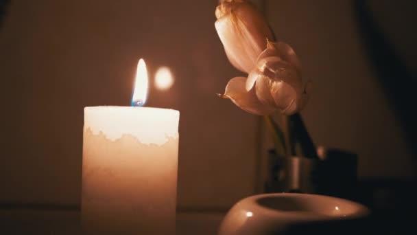 A vela de parafina queima com uma chama branca e móvel em uma mesa com duas tulipas. 4K — Vídeo de Stock
