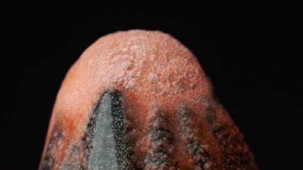 Химическая реакция извержения игрушечного вулкана с использованием пищевой соды, уксуса, красного красителя — стоковое видео
