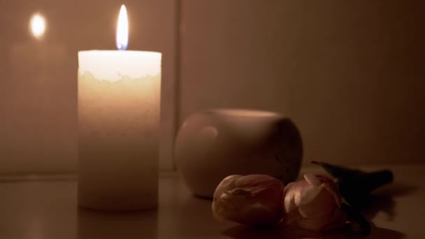 Paraffin Candle Burns with a White, Moving Flame on a Table with Two Tulips — Stock Video