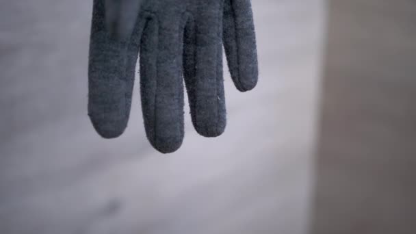 British Gray Cat Bounces, Grabs a Woolen Glove on Fly. Ladrão. Movimento lento — Vídeo de Stock