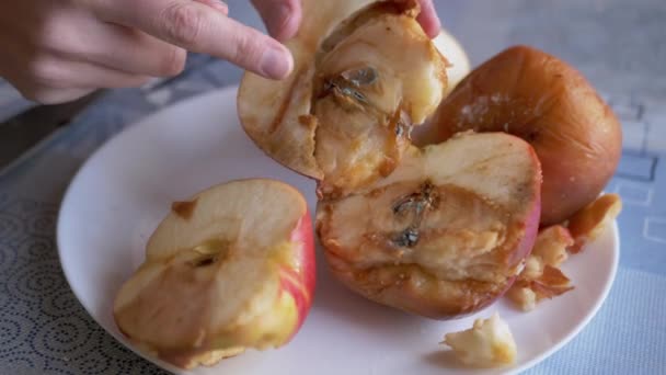 여성 유행어는 건판에 있는 곰팡 이 핀 사과를 가리킨다. 컵, 숟가락, 곰팡 이 열매. 4K — 비디오