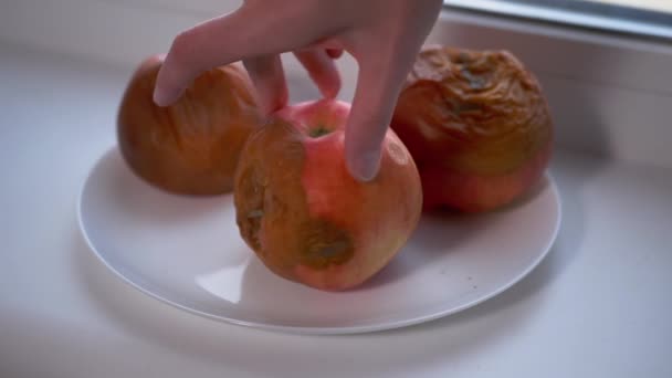 La mano femenina gira la manzana podrida en un plato. Frutas malcriadas y mohosas. Movimiento lento — Vídeos de Stock