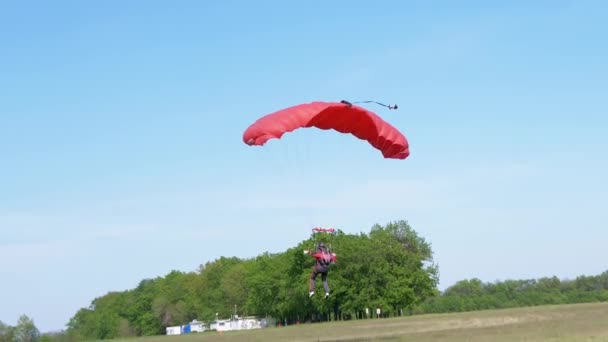 Landar fallskärmshoppare på grönt gräs. Zooma in. Långsamma rörelser — Stockvideo