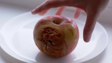 Kadın El Tabaktan Çürük Elma Aldı. Şımarık, çürük, küflü meyveler. 4K