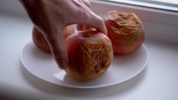 Mano masculina gira manzana podrida en una placa. Frutas malcriadas y mohosas. Movimiento lento — Vídeo de stock