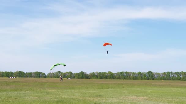 Parašutisté létají na paraglidingu v Modrém nebi a přistávají na zelené trávě. 4K — Stock video