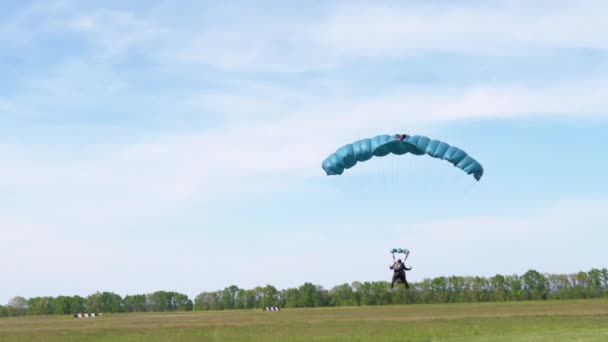 Parašutisté létají na paraglidingu v Modrém nebi a přistávají na zelené trávě. 4K — Stock video