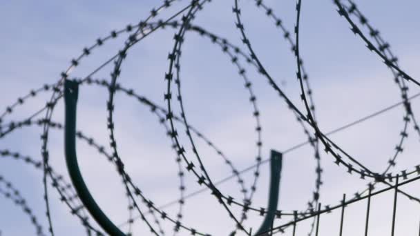 Barbed wire Hanging on the Border of Iron Fence on Against the Blue Sky. Zoom — Stock Video