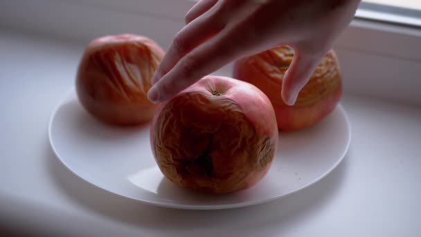 La mano femenina gira la manzana podrida en un plato. Frutas malcriadas y mohosas. Movimiento lento — Vídeo de stock