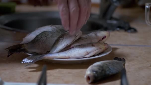 Mãos masculinas intestino peixe fresco e colocá-lo em uma placa e mesa. 4K — Vídeo de Stock