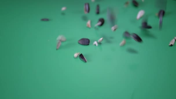 Zonnebloempitten, geworpen, op groene achtergrond. Langzame beweging — Stockvideo