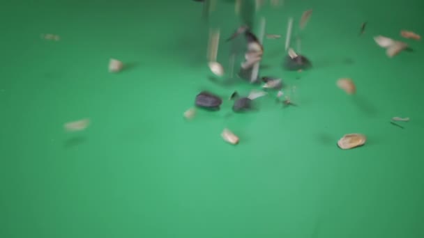 Milhos de semente de girassol, lançados, em fundo verde. Movimento lento — Vídeo de Stock