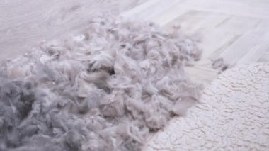 Kedi tıraşlandıktan sonra kedi kılı yığını yerde yatıyor. 4K