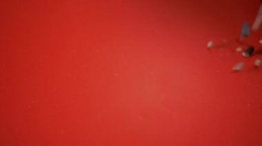 Ayçiçeği Çekirdekleri, Fırlatılmış, Kızıl Arkaplan 'da. Yavaş çekim