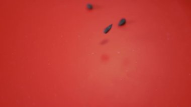 Ayçiçeği tohumları, atıldı, Kızıl Arkaplan 'da. Yavaş çekim