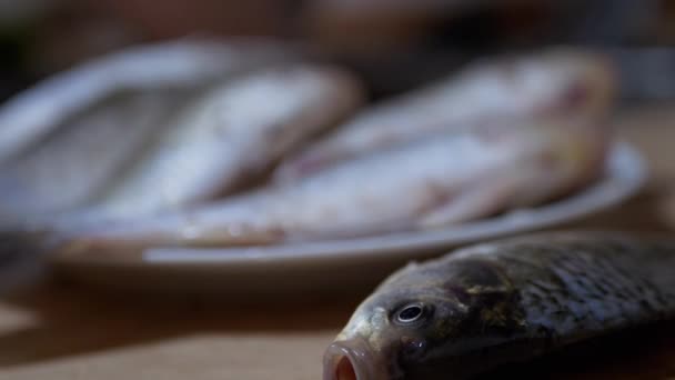 Fresh River Fish Crucian Carp Lies on Plate (em inglês). Zoom — Vídeo de Stock