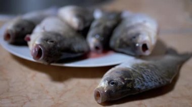 Taze nehir balığı Crucian sazan balığı tabak üzerinde yalan söyler. 4K