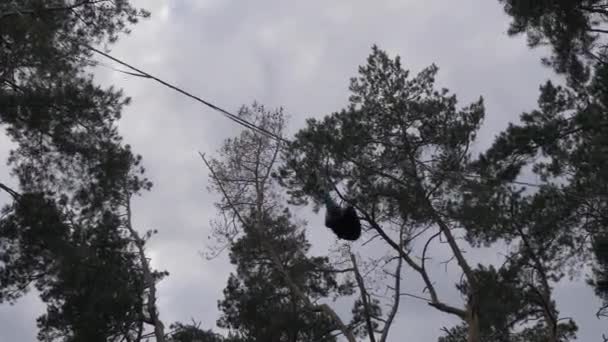 Ropewalker com uma corda de segurança cai da corda em uma alta altitude. 4K — Vídeo de Stock